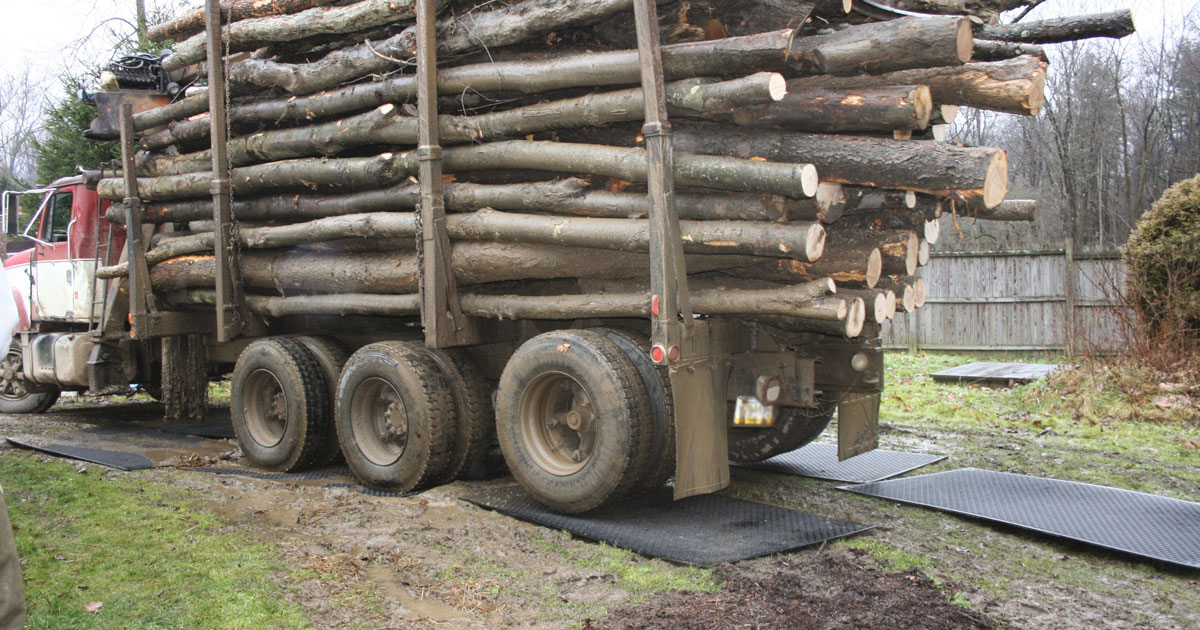 Tree Felling Safely Using Ground Protection Mats